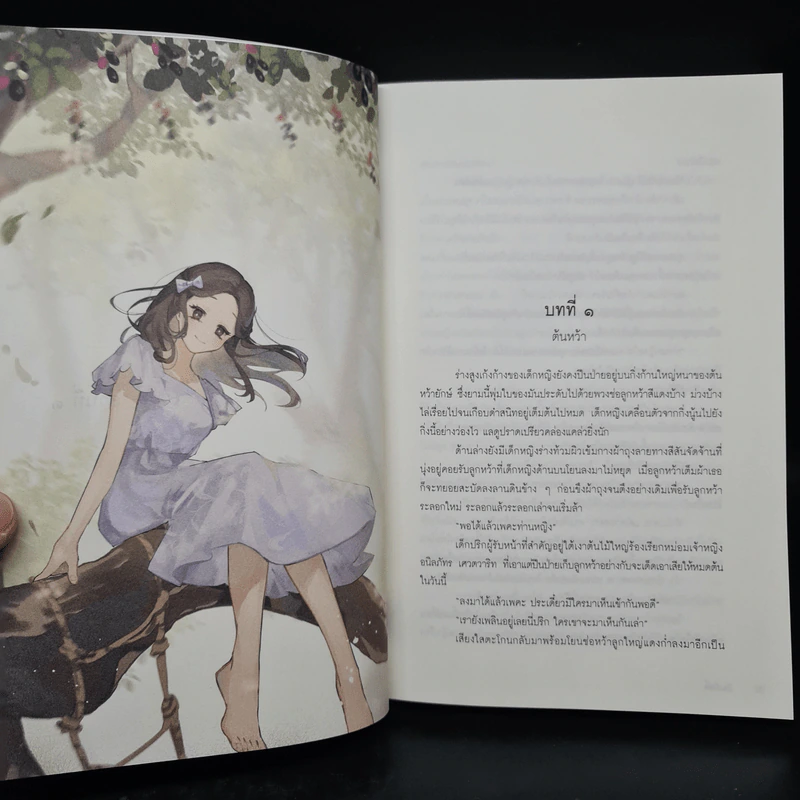 Box Set ปิ่นภักดิ์ 2 เล่มจบ - ม่อนแมว รูปที่ 9