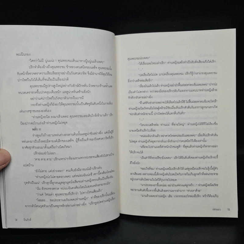Box Set ปิ่นภักดิ์ 2 เล่มจบ - ม่อนแมว รูปที่ 10