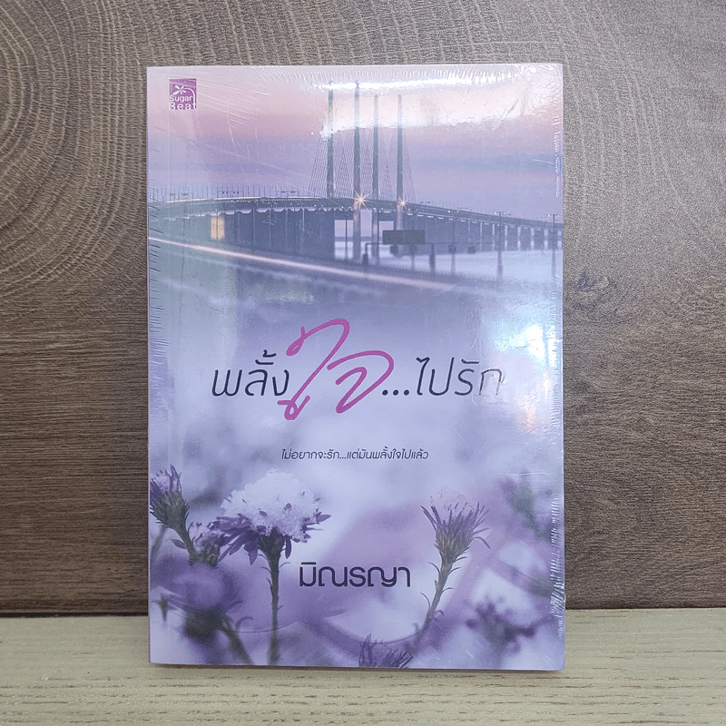 พลั้งใจ...ไปรัก - มิณรญา รูปที่ 1