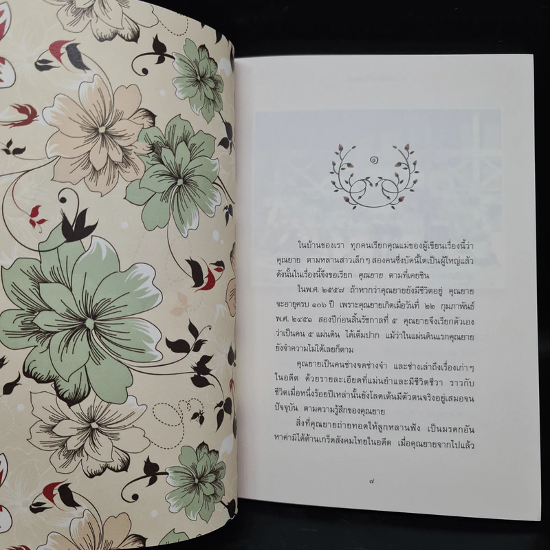พาเที่ยววันวานกับคุณยาย - ว.วินิจฉัยกุล รูปที่ 6