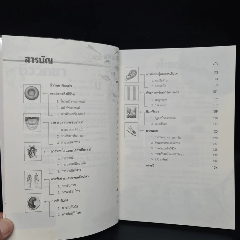 กุญแจไขสู้โลกชีววิทยา - นายอะตอม รูปที่ 6