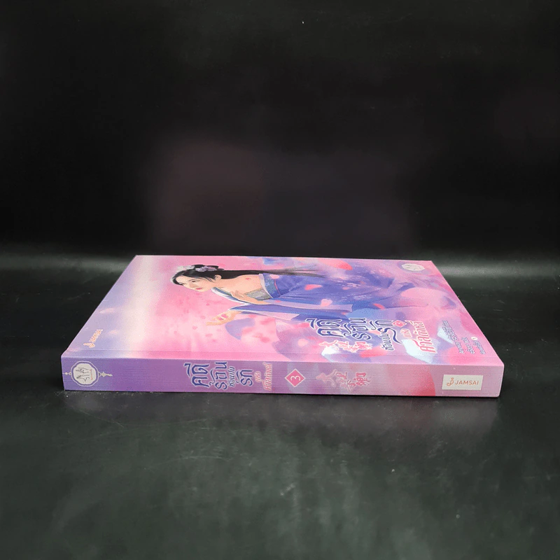 คดีร้อนซ่อนปมรักแห่งศาลต้าหลี่ เล่ม 3 - Anyway รูปที่ 3