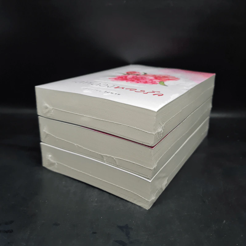 เล่ห์ลวงปรารถนา+ลวงรักคุณชายร้าย+เล่ห์ลวงหวงรัก - ไม้พาย รูปที่ 3