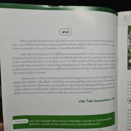 เพลี้ยแป้ง - โซตัส อินเตอร์เนชั่นแนล รูปที่ 5