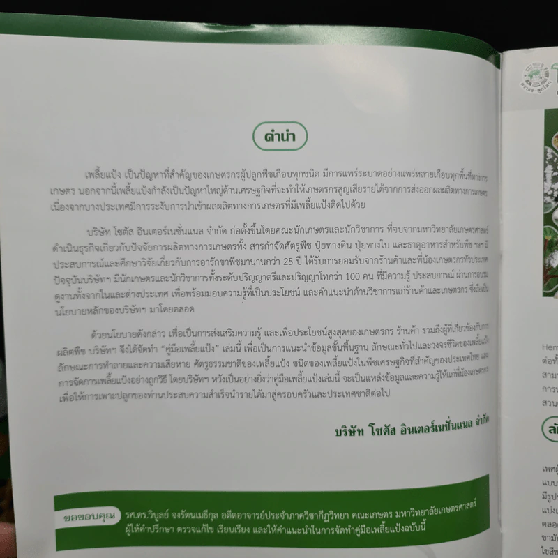 เพลี้ยแป้ง - โซตัส อินเตอร์เนชั่นแนล รูปที่ 5