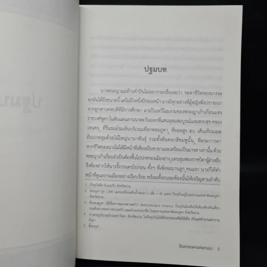 สิเนหามนตาแห่งลานนา - บัณฑูล ล่ำซำ รูปที่ 7
