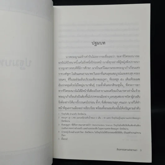 สิเนหามนตาแห่งลานนา - บัณฑูร ล่ำซำ รูปที่ 6