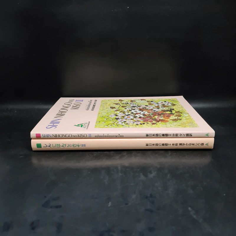 Shin Nihongo No Kiso II + ฉบับแปลเทียบภาษาไทย รูปที่ 3