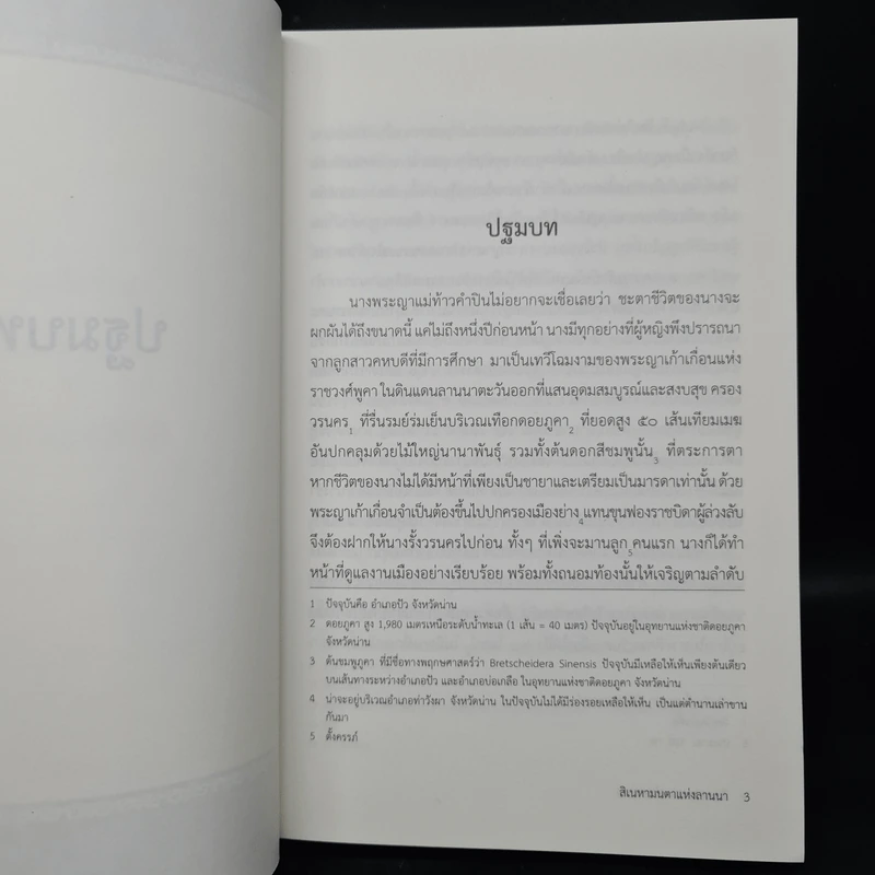 สิเนหามนตาแห่งลานนา - บัณฑูร ล่ำซำ รูปที่ 6