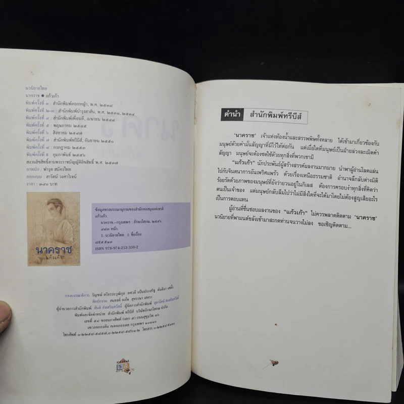 นาคราช - แก้วเก้า รูปที่ 6