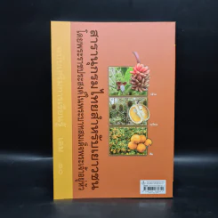 สารานุกรมไทยสำหรับเยาวชน ฉบับเสริมการเรียนรู้ เล่ม 10 รูปที่ 2