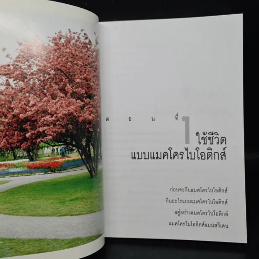 มาใช้ชีวิตแบบแมคโครไบโอติกส์ การกินอาหารและใช้ชีวิตกับธรรมชาติ - สิทรา พรรณสมบูรณ์ รูปที่ 7