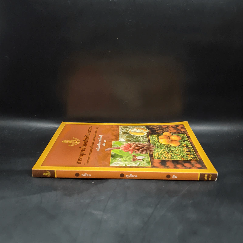 สารานุกรมไทยสำหรับเยาวชน ฉบับเสริมการเรียนรู้ เล่ม 10 รูปที่ 3