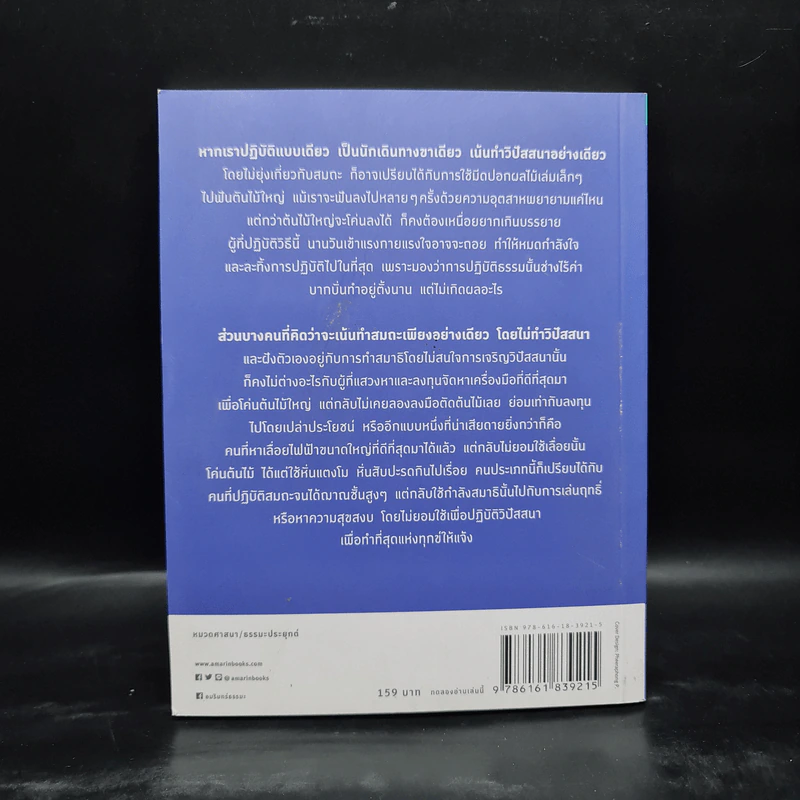 สมถะเท้าขวา วิปัสสนาเท้าซ้าย - พศิน อินทรวงศ์ รูปที่ 2