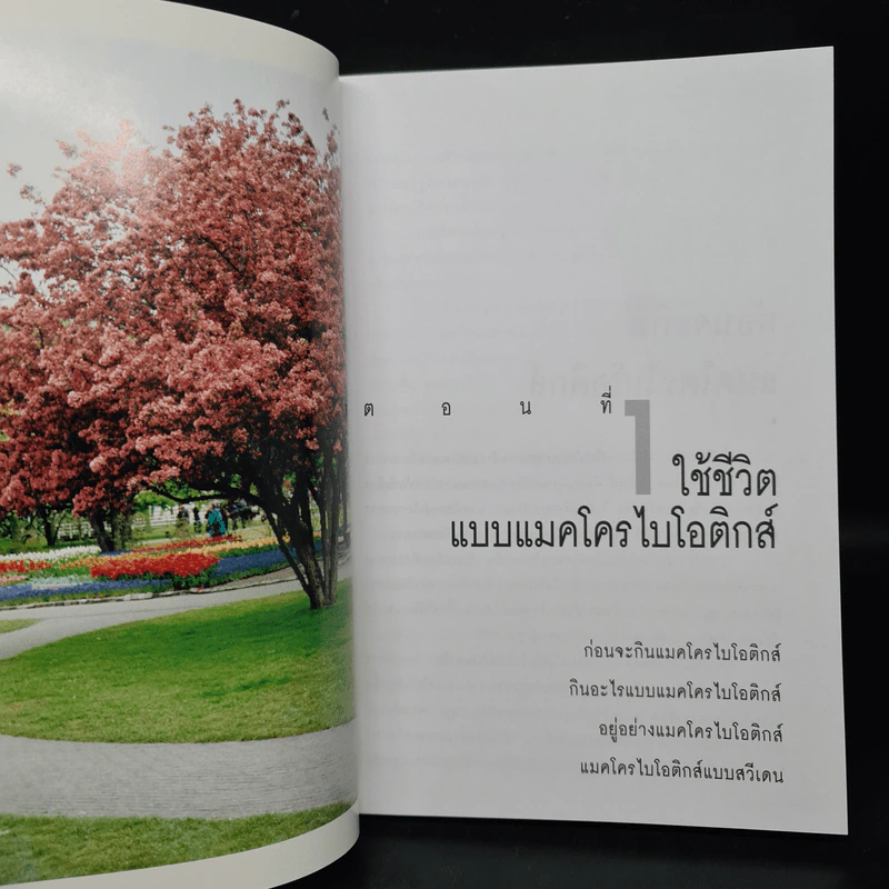 มาใช้ชีวิตแบบแมคโครไบโอติกส์ การกินอาหารและใช้ชีวิตกับธรรมชาติ - สิทรา พรรณสมบูรณ์ รูปที่ 7