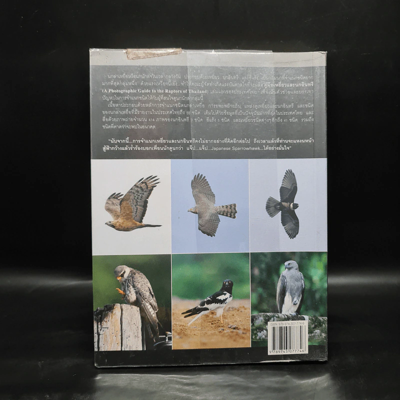 คู่มือเหยี่ยวและนกอินทรี A Photographic Guide to the Raptors of Thailand รูปที่ 2