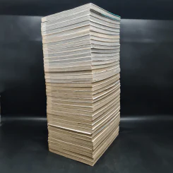 Vagabond เล่ม 1-37 รูปที่ 3