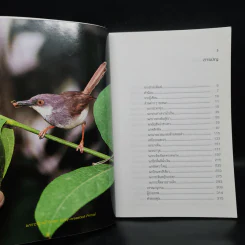 นกไทยในบันทึกและความทรงจำ 3 - สุธี ศุภรัฐวิกร รูปที่ 6