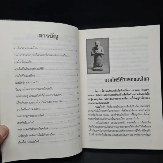 แวมไพร์ ผีร้ายกับตำนานสยอง - รวิโรจน์ รูปที่ 6