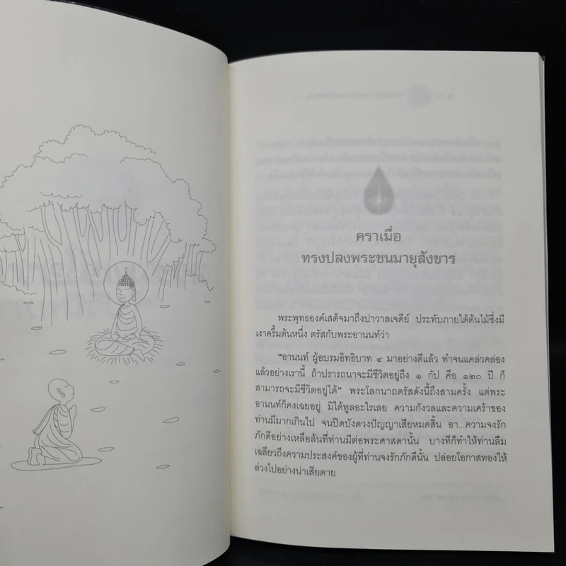 พระพุทธโอวาทก่อนปรินิพพาน - วศิน อินทสระ ไชย ณ พล รูปที่ 7