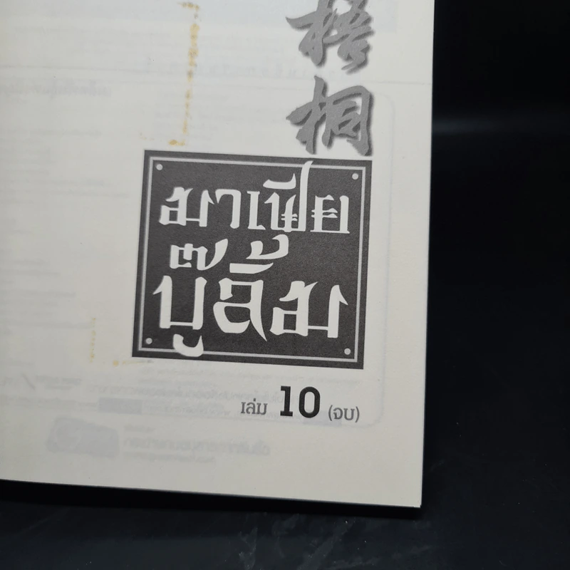 มาเฟียบู๊ลิ้ม 10 เล่มจบ - น.นพรัตน์ รูปที่ 8