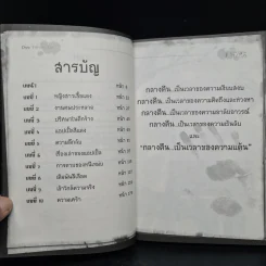 กลางคืนไม่พูด : แอปเปิ้ลสีเลือด+ตุ๊กตาซ่อนวิญญาณ+คำสาปผีถ้วยแก้ว รูปที่ 6