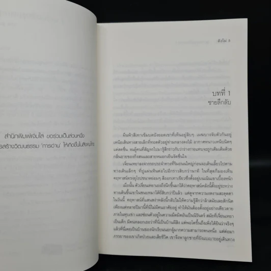 คดีร้ายสุภาพบุรุษอันตราย 2 เล่มจบ - ติงโม่ (Ding Mo) รูปที่ 6