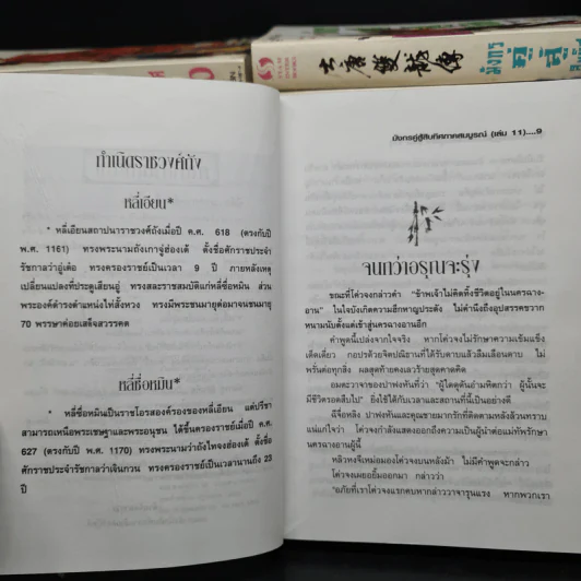มังกรคู่สู้สิบทิศ 10 เล่มจบ + ภาคสมบูรณ์ 11 เล่มจบ - น.นพรัตน์ รูปที่ 10