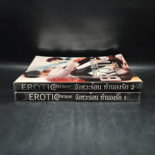นิยายฟิคชั่น จังหวะร้อน ทำนองรัก 2 เล่มจบ รูปที่ 3