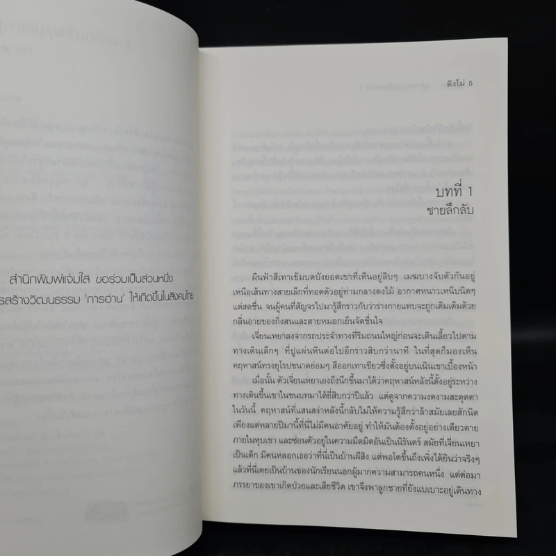 คดีร้ายสุภาพบุรุษอันตราย 2 เล่มจบ - ติงโม่ (Ding Mo) รูปที่ 6