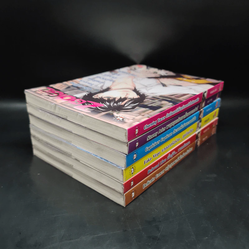 Box Set Prince of Zodiac So Hot 6 เล่ม รูปที่ 7