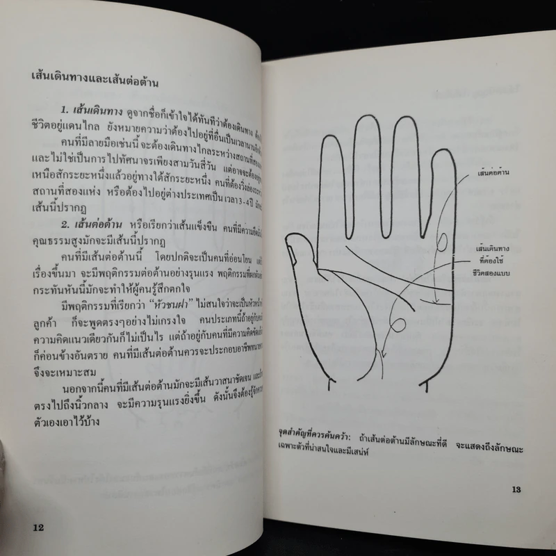 ลายมือกับโชคลาภและความรัก - สวี่เหินซาน รูปที่ 8