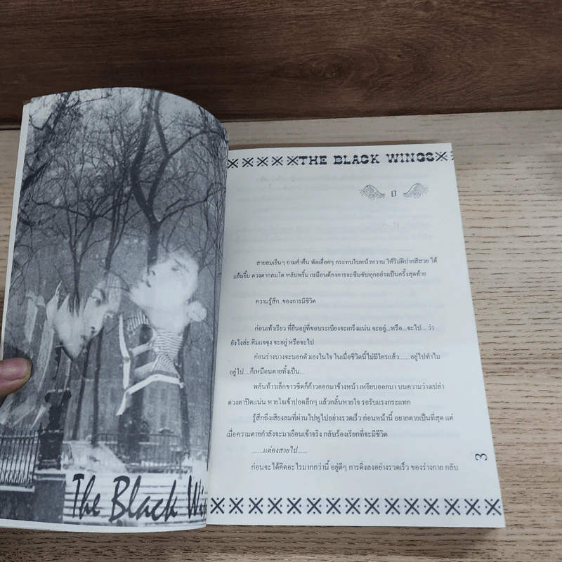 นิยายฟิคชั่น The Black Wings รูปที่ 3