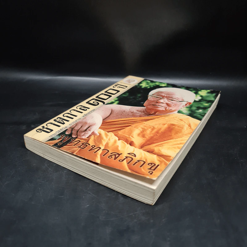 ชาตกาล 100 ปี ประวัติชีวิต การงาน หลักธรรม - พุทธทาสภิกขุ รูปที่ 4