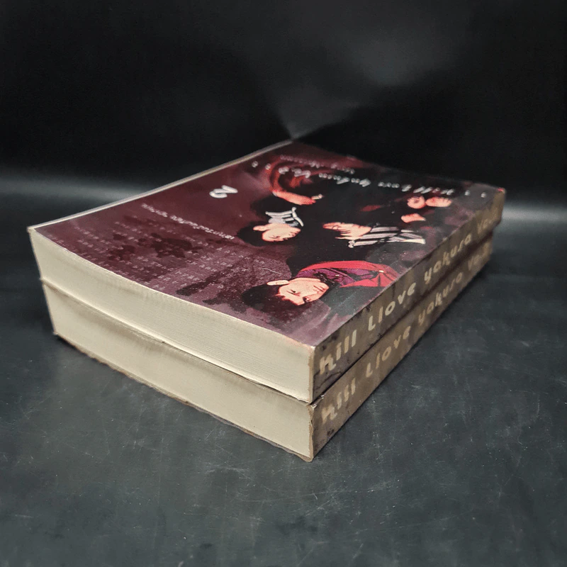 นิยายฟิคชั่น Kill Love Yakusa Vo.2 เล่ม 1-2 - Morezaa รูปที่ 8