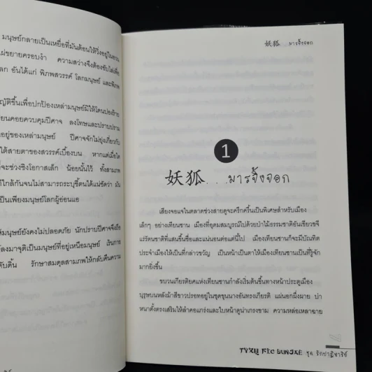 นิยายฟิคชั่น มนุษย์นักรัก + มารจิ้งจอก - Park Sugar รูปที่ 7