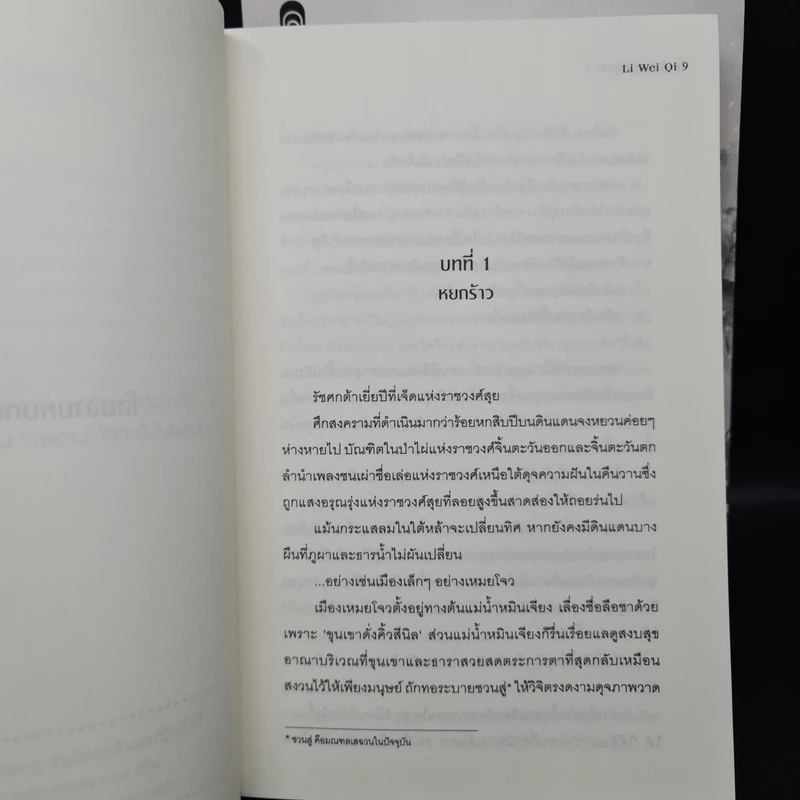 คู่บุรุษกู้ใต้หล้า 2 เล่มจบ - Li Wei Qi รูปที่ 6