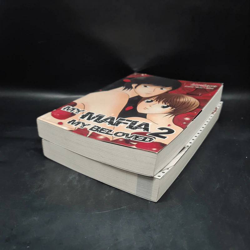 นิยายฟิคชั่น My Mafia My Beloved 2 เล่มจบ - Hizukaya รูปที่ 4