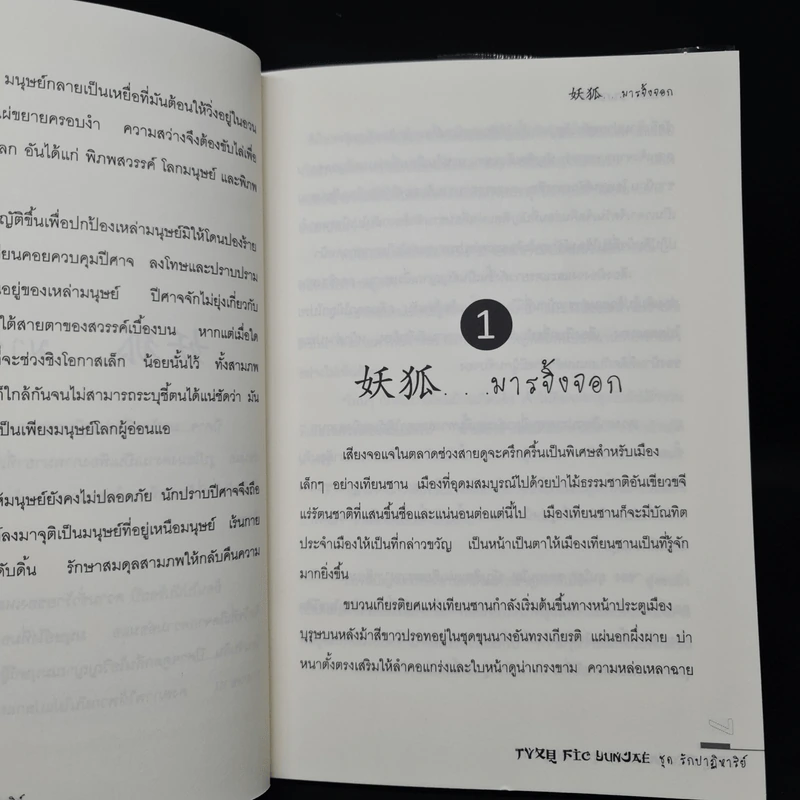 นิยายฟิคชั่น มนุษย์นักรัก + มารจิ้งจอก - Park Sugar รูปที่ 7