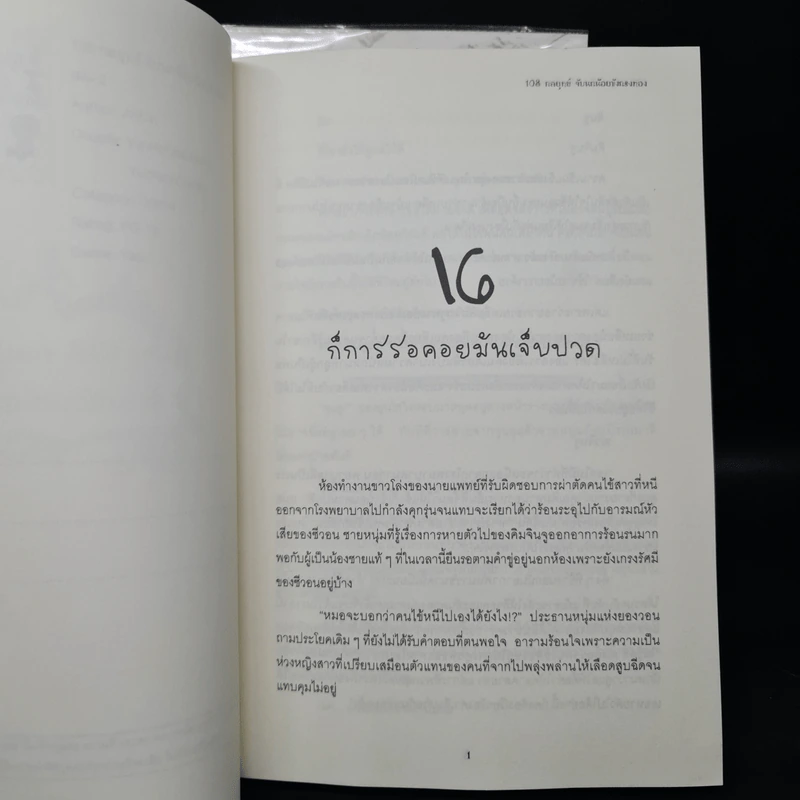 นิยายฟิคชั่น 108 กลยุทธ์ จับนกน้อยขังกรงทอง 2 เล่มจบ - AhCin รูปที่ 8