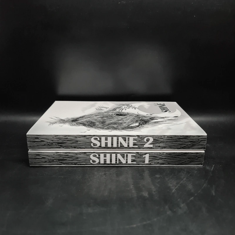 นิยายฟิคชั่น Shine เล่ม 1-2 - AhCin รูปที่ 3