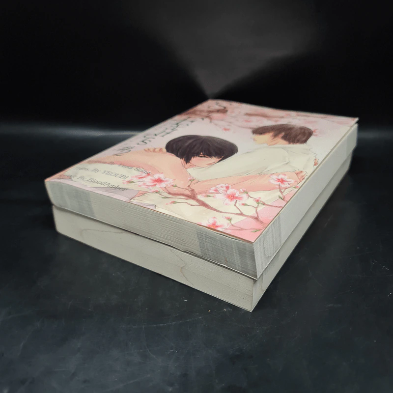 นิยายฟิคชั่น Soft Feathers เล่ม 1-2 - Yuna Song รูปที่ 4