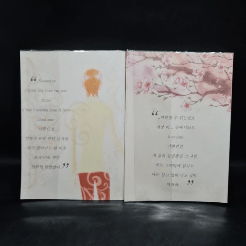 นิยายฟิคชั่น Soft Feathers เล่ม 1-2 - Yuna Song รูปที่ 2