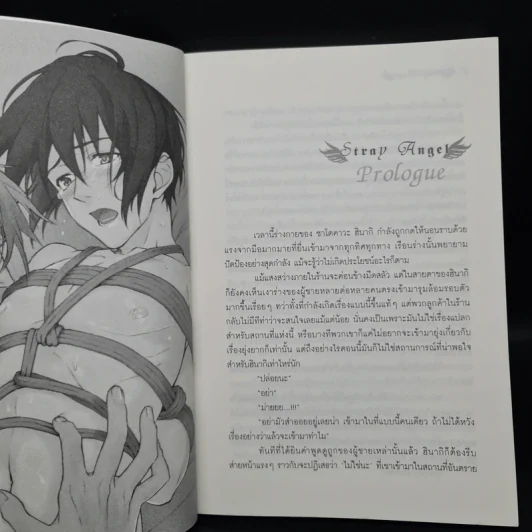 นิยายวาย Stray Angel ความปรารถนาของทูตสวรรค์ - Hana Nishino รูปที่ 5
