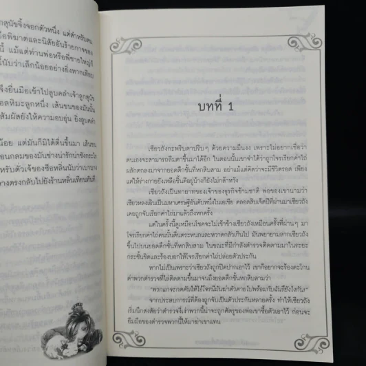 นิยายวาย ปาฏิหาริย์รักจิ้งจอกขาว - เฟ่ยอวี่ รูปที่ 6