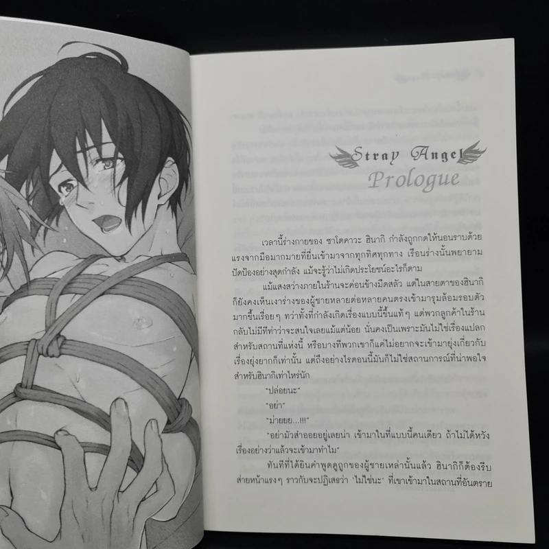 นิยายวาย Stray Angel ความปรารถนาของทูตสวรรค์ - Hana Nishino รูปที่ 5