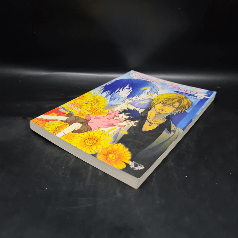 นิยายวาย Stray Angel ความปรารถนาของทูตสวรรค์ - Hana Nishino รูปที่ 4