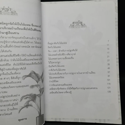 ปลูกไม้มงคล จัดสวนโชคลาภ - พุดตาน รูปที่ 6
