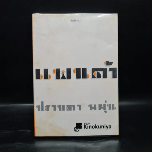 แพนด้า - ปราบดา หยุ่น รูปที่ 1