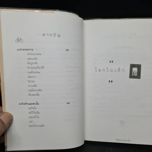 ด้วยรักและห่วงใย - ระย้า รูปที่ 7